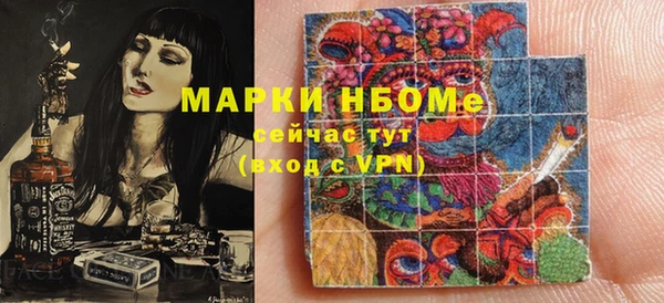 гашик Новодвинск