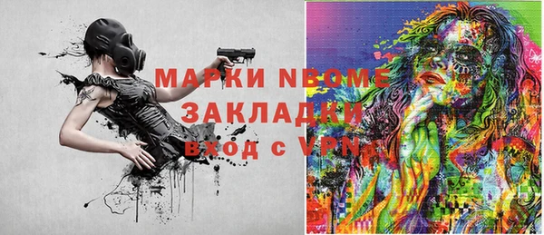 гашик Новодвинск