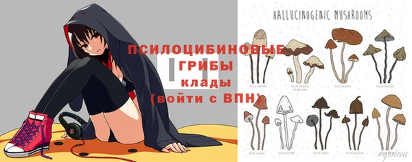 каннабис Новозыбков