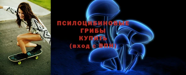 каннабис Новозыбков