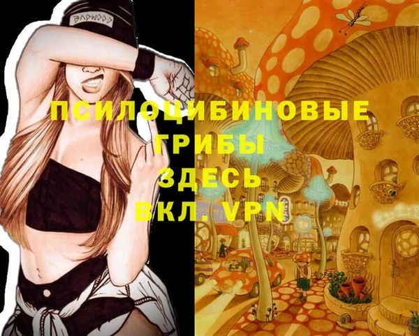 каннабис Новозыбков