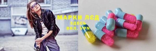 гидра Новокубанск