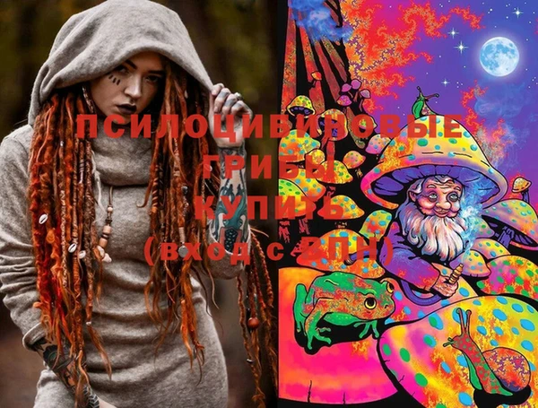 гашик Новодвинск