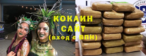 каннабис Новозыбков