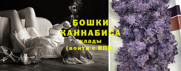 гидра Новокубанск