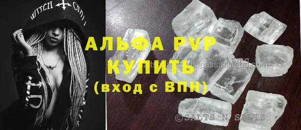 гашик Новодвинск