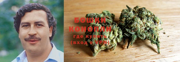 каннабис Новозыбков