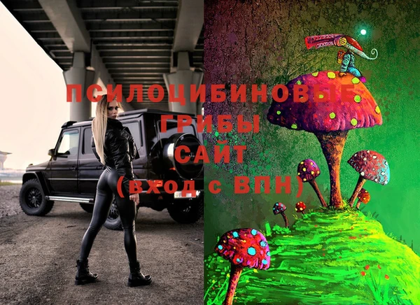 каннабис Новозыбков