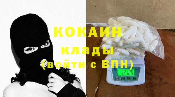 гашик Новодвинск