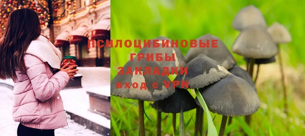 гашик Новодвинск