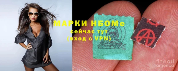 каннабис Новозыбков