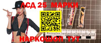 spice Брянск