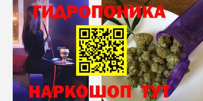 spice Брянск