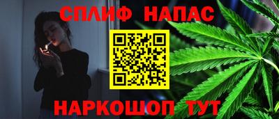 spice Брянск