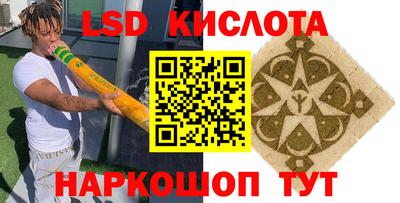 spice Брянск