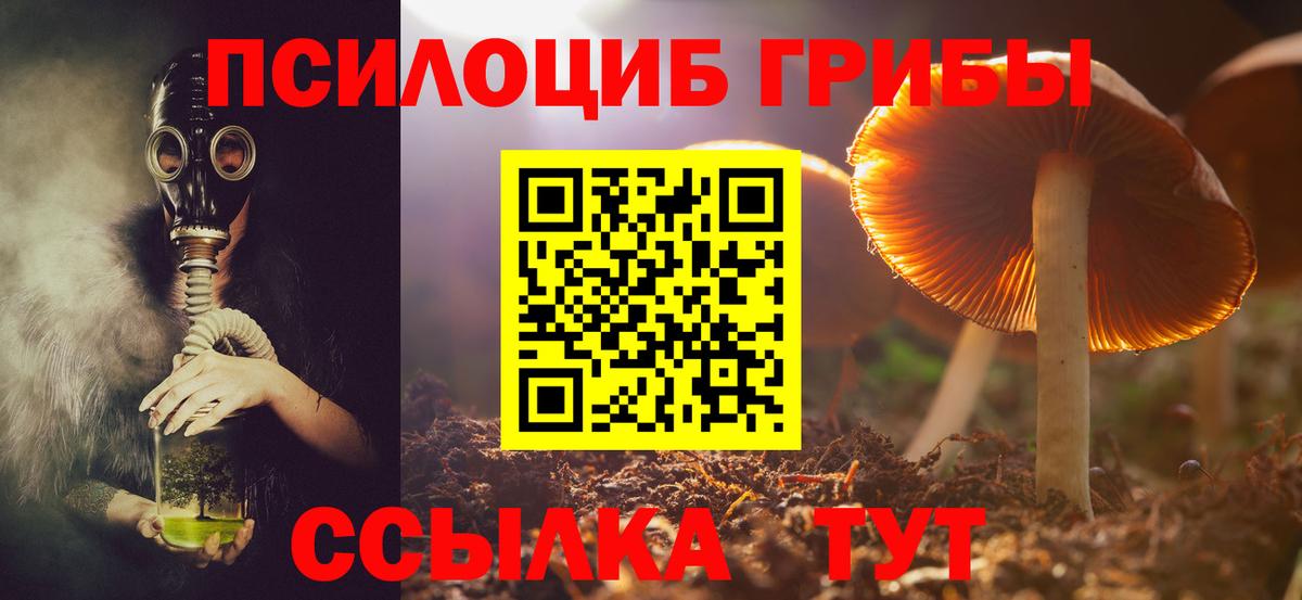 где продают наркотики  Галлюциногенные грибы Cubensis  Стерлитамак  Вход с VPN  Псилоцибиновые грибы ЛСД 